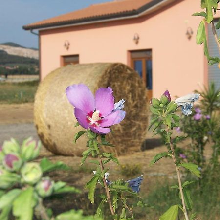 Agriturismo La Nocciolina Venturina Terme Ngoại thất bức ảnh