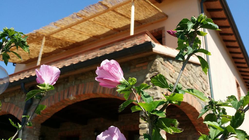 Agriturismo La Nocciolina Venturina Terme Ngoại thất bức ảnh