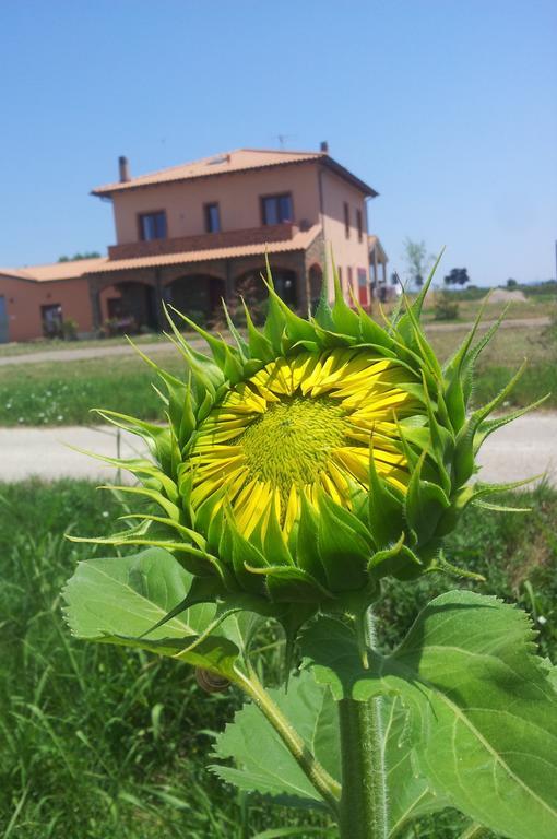 Agriturismo La Nocciolina Venturina Terme Ngoại thất bức ảnh