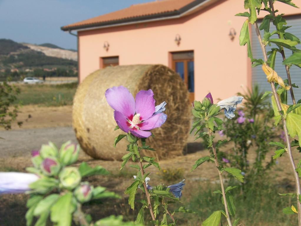 Agriturismo La Nocciolina Venturina Terme Ngoại thất bức ảnh